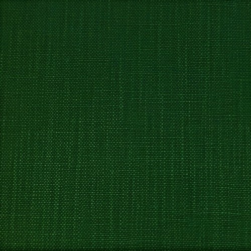 Forest Green Forest Green