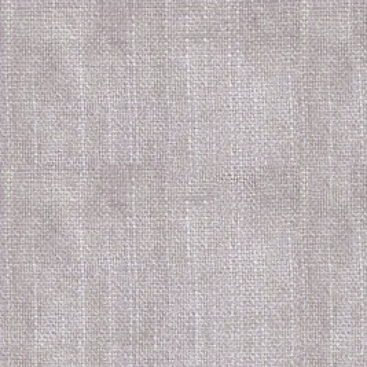 Feather Grey Feather Grey