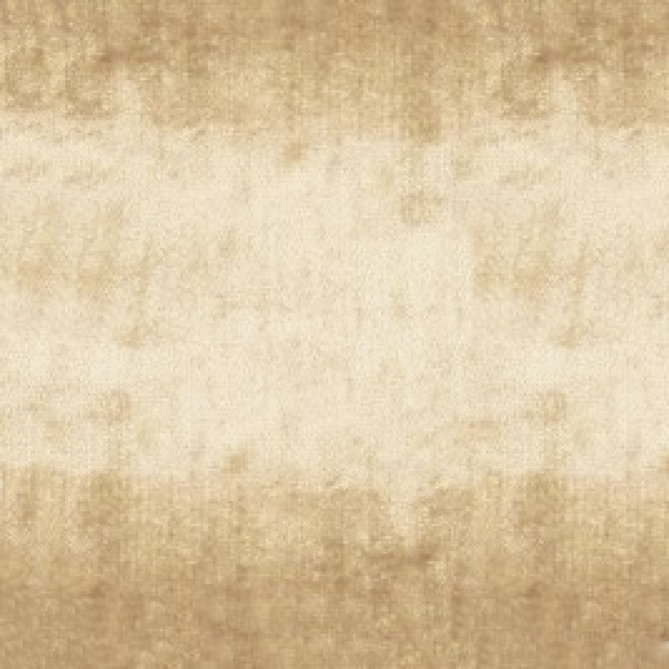 Beige Beige