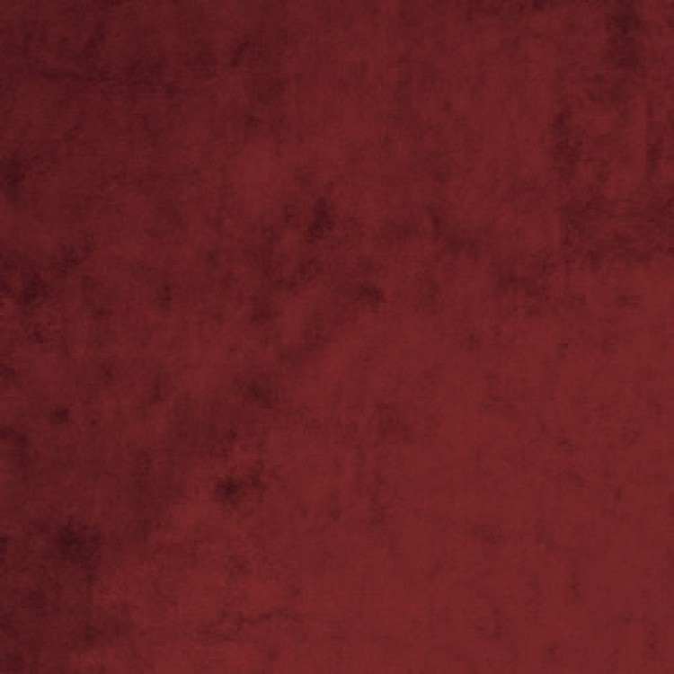 Fuschia Fuschia