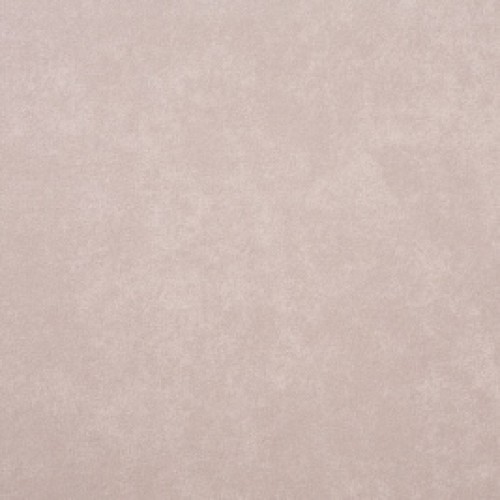 Taupe Taupe