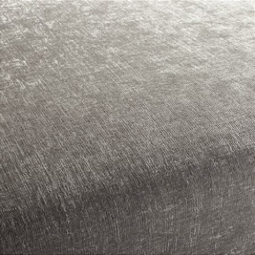 Silver Dust Silver Dust