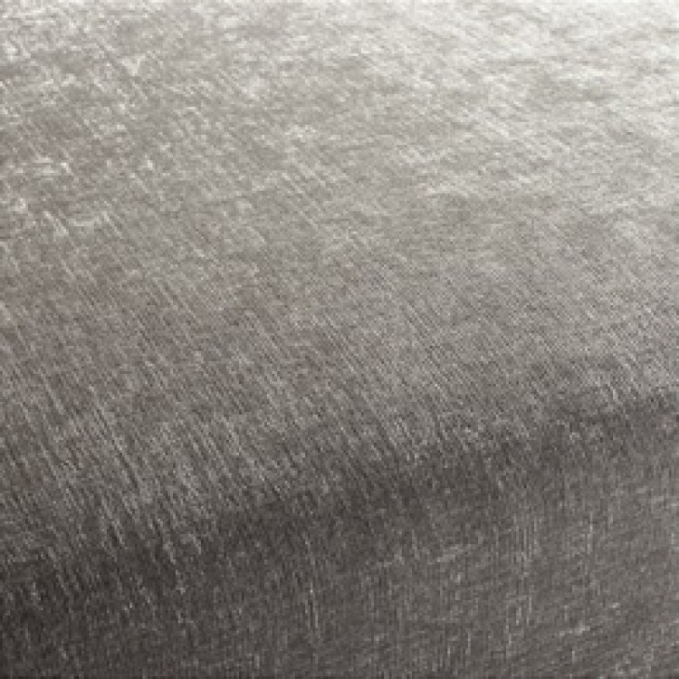 Silver Dust Silver Dust