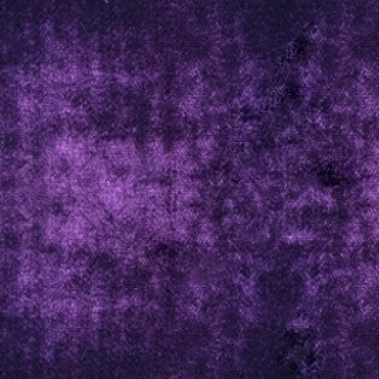 Plum Plum