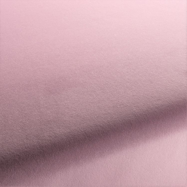 Frosted Lilac Frosted Lilac